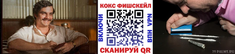 COCAIN Fish Scale  kraken ССЫЛКА  Электросталь 