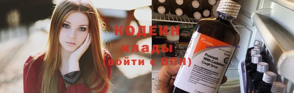гидра Надым