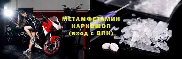 гидра Надым