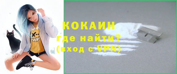 гидра Надым