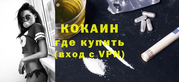 гидра Надым