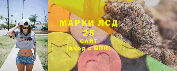 гидра Надым
