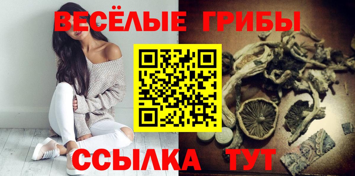 Электросталь  Галлюциногенные грибы Psilocybine cubensis  Вход с VPN 